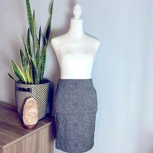 NWOT Ann Taylor Pencil Skirt